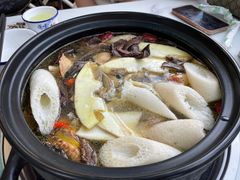 -蘑统田下·野生菌火锅