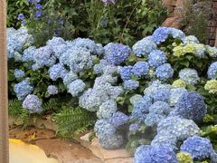 -Lamant Manor已闻花名关於蓝