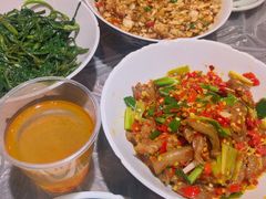 鸭掌筋-壹盏灯(惠农店)