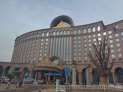 -唐山河头老街国丰维景国际大酒店