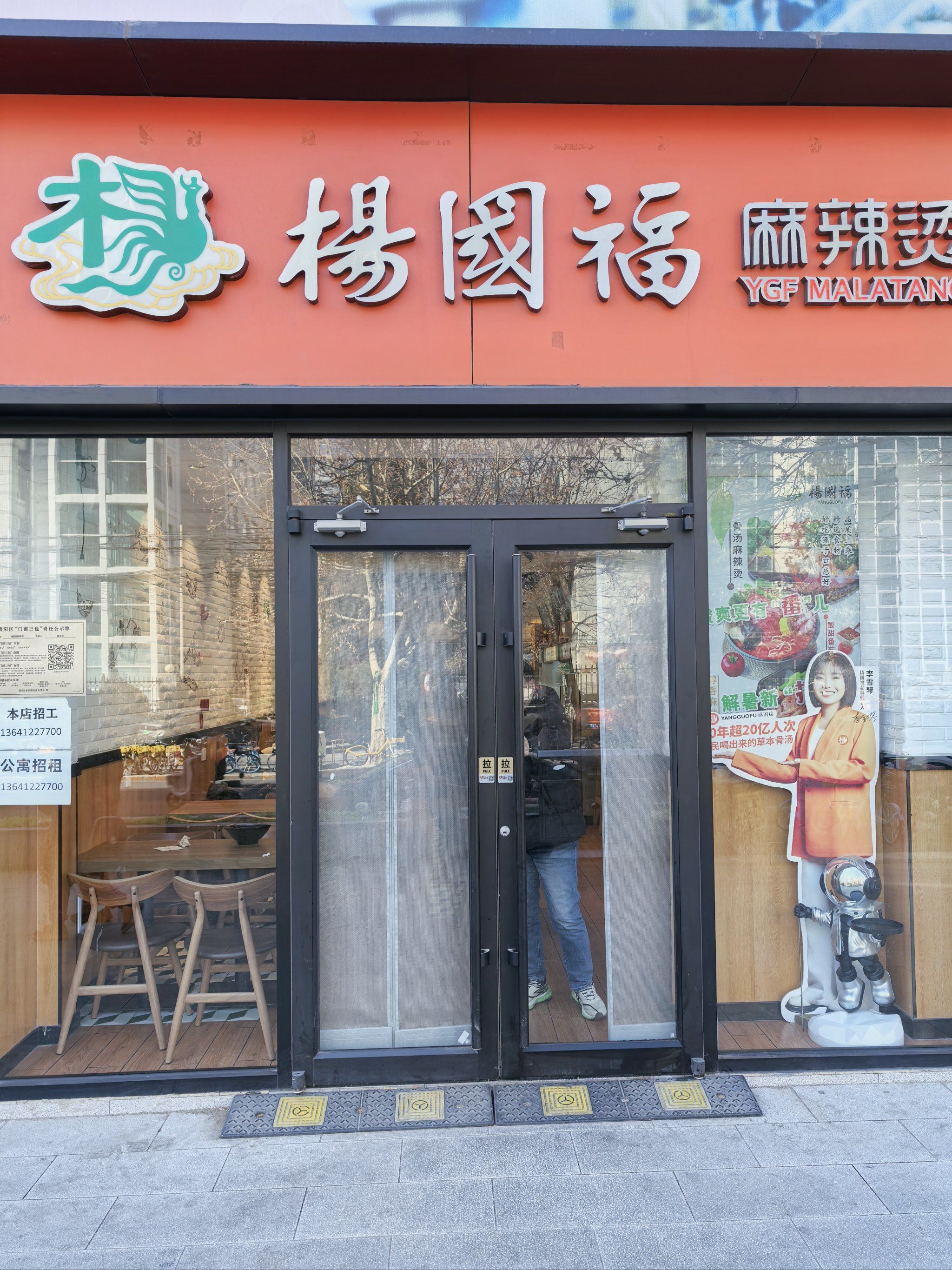 杨国福麻辣烫,食材区丰富多样,新鲜蔬菜,特色丸子,各类荤菜应有尽有