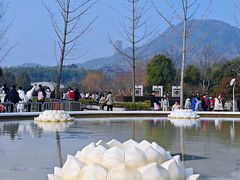 -牛首山文化旅游区