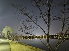-羊山湖公园