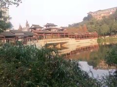-重庆彩云湖湿地公园