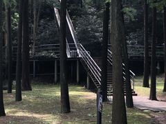 -上海月湖雕塑公园