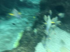 -新加坡水上探险乐园