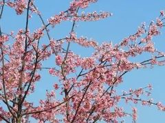 -奉浦四季生态园