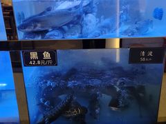 -观音桥步行街