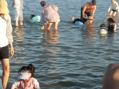 -碧海金沙