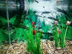 -绍兴梦享海洋公园