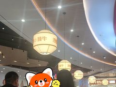-浪里寻·臻牛养生牛肉火锅(方圆荟店)