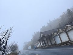 -江南天池
