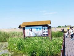 -宁波杭州湾国家湿地公园