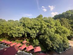 -杭州香格里拉·香宫中餐厅