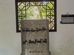 -上海醉白池公园