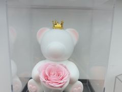 -ROSEONLY诺誓(广州K11店)