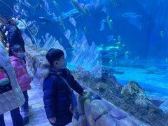 -华夏文旅海洋公园