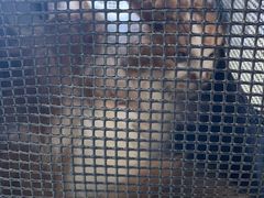 -萌兽医馆·犬猫专科·眼科中心·宠物医院(朝阳门分院)