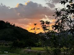 -福建土楼（华安）旅游区•大地土楼群
