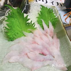滝波食堂的八角鱼刺身好不好吃 用户评价口味怎么样 小樽美食八角鱼刺身实拍图片 大众点评