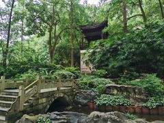 -忠山公园