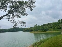-佛手湖郊野公园