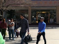 -东兴口岸-中越友谊大桥