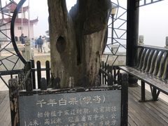 -影珠山
