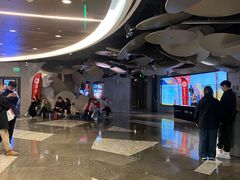 -百美汇影城(LUXE嘉里中心店)