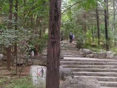-周口店北京人遗址公园