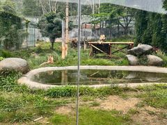 -泉州海丝野生动物世界