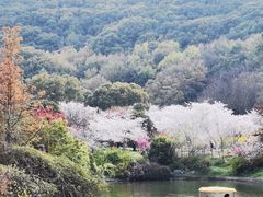 -苏州上方山国家森林公园