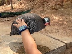 -青藏高原野生动物园
