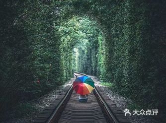 想和你一起醉倒在天台上,这样就可以让月亮偷偷听我们讲