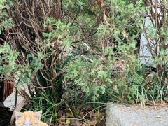 -阳山碑材（明文化村）景区