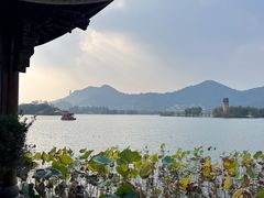 -茗醉园茶楼