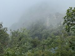 -沂蒙山旅游区云蒙景区(蒙山国家森林公园)
