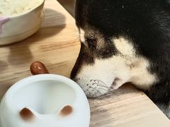 -柴の食堂·日式家庭料理·熊之肆(大学路店)