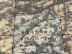 -无锡梅园公园