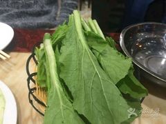 -老诚一锅(锦州总店)