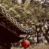 广州｜廣州經典老字號茶樓——北園