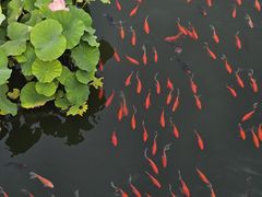 -北京市劳动人民文化宫(太庙)