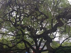 -上海应用技术大学南校区-停车场