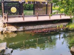 -三里河公园