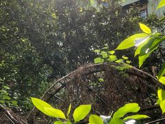 -有红鸡毛店·川菜(建设路店)