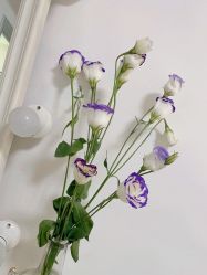 -美肤盾祛痘·问题肌头疗管理中心