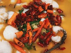 -蜀腾川·火锅鱼.烤鱼(新世界城店)