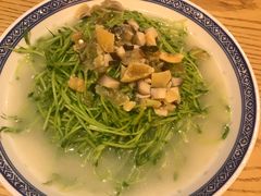 上汤豆苗-禄鼎记·多口味酸菜鱼(侨鑫店)