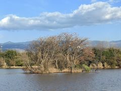 -西昌邛海湿地