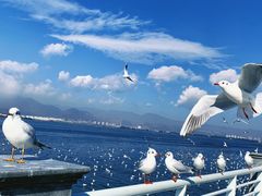 -滇池海埂公园